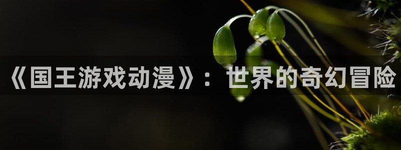 动漫天堂总站：《国王游戏动漫》：世界的奇幻冒险