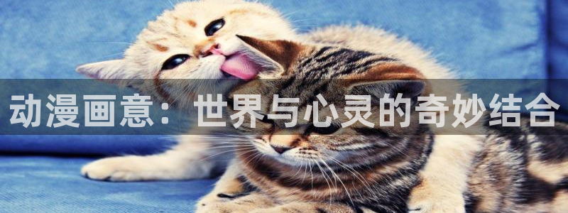 动漫天堂免费下载：动漫画意：世界与心灵的奇妙结合