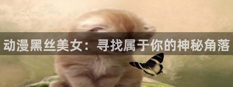 动漫天堂：动漫黑丝美女：寻找属于你的神秘角落