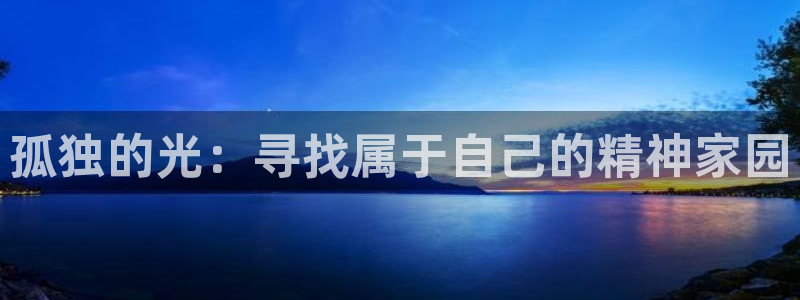 动漫天堂网：孤独的光：寻找属于自己的精神家园