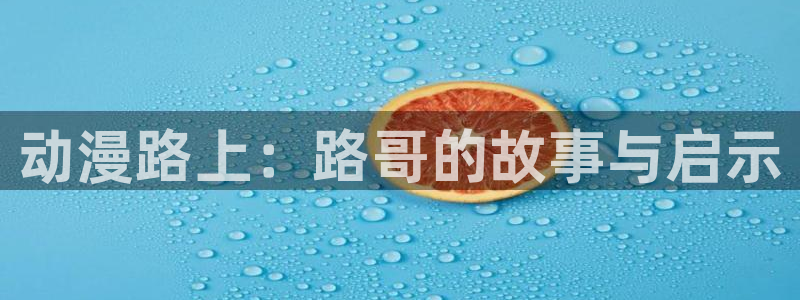 动漫天堂：动漫路上：路哥的故事与启示