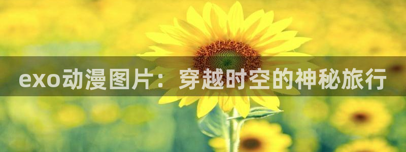 www.动漫天堂：exo动漫图片：穿越时空的神秘旅行