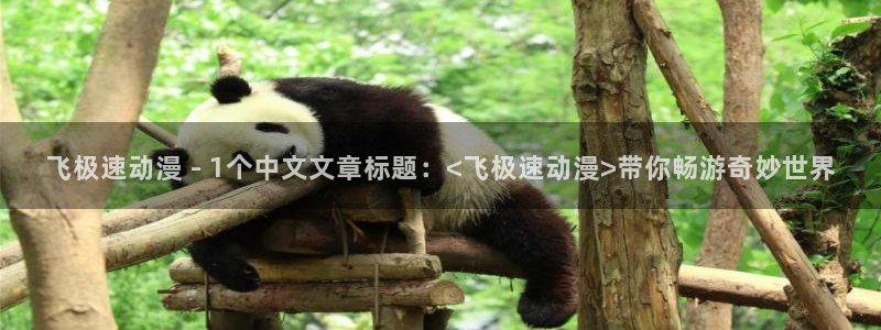 动漫天堂官网：飞极速动漫 - 1个中文文章标题：<飞极速动漫>带你畅游奇妙世界