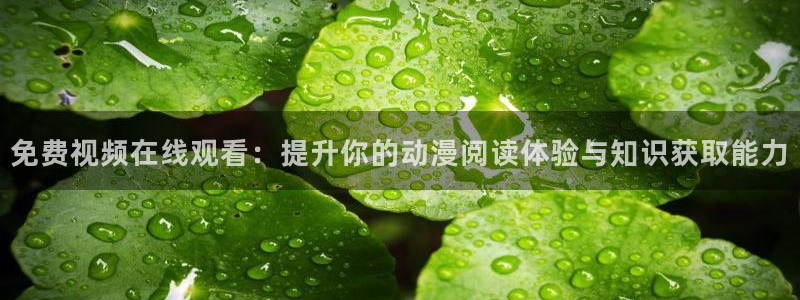 原神禁动漫天堂可莉：免费视频在线观看：提升你的动漫阅读体验与知识获取能力