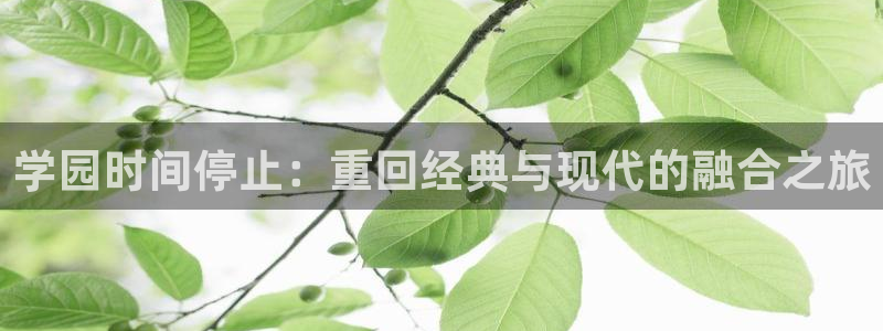 bt动漫天堂