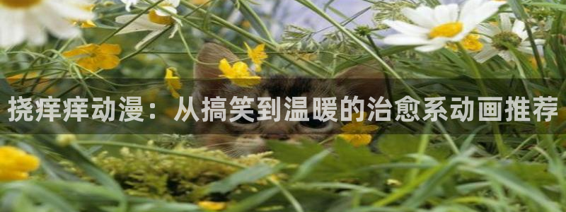 动漫天堂官方正版下载