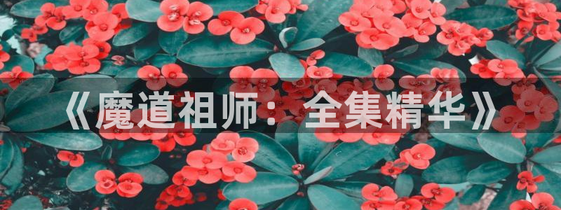 动漫天堂在线