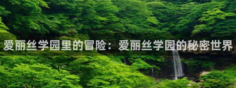 动漫天堂在线免费观看