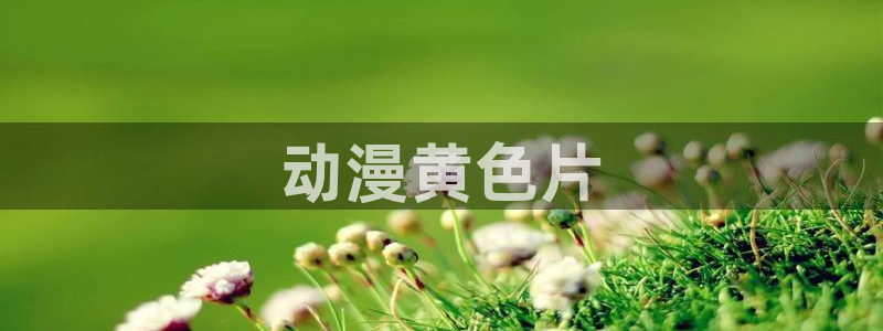 动漫天堂免费观看