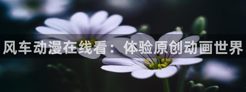 动漫天堂91